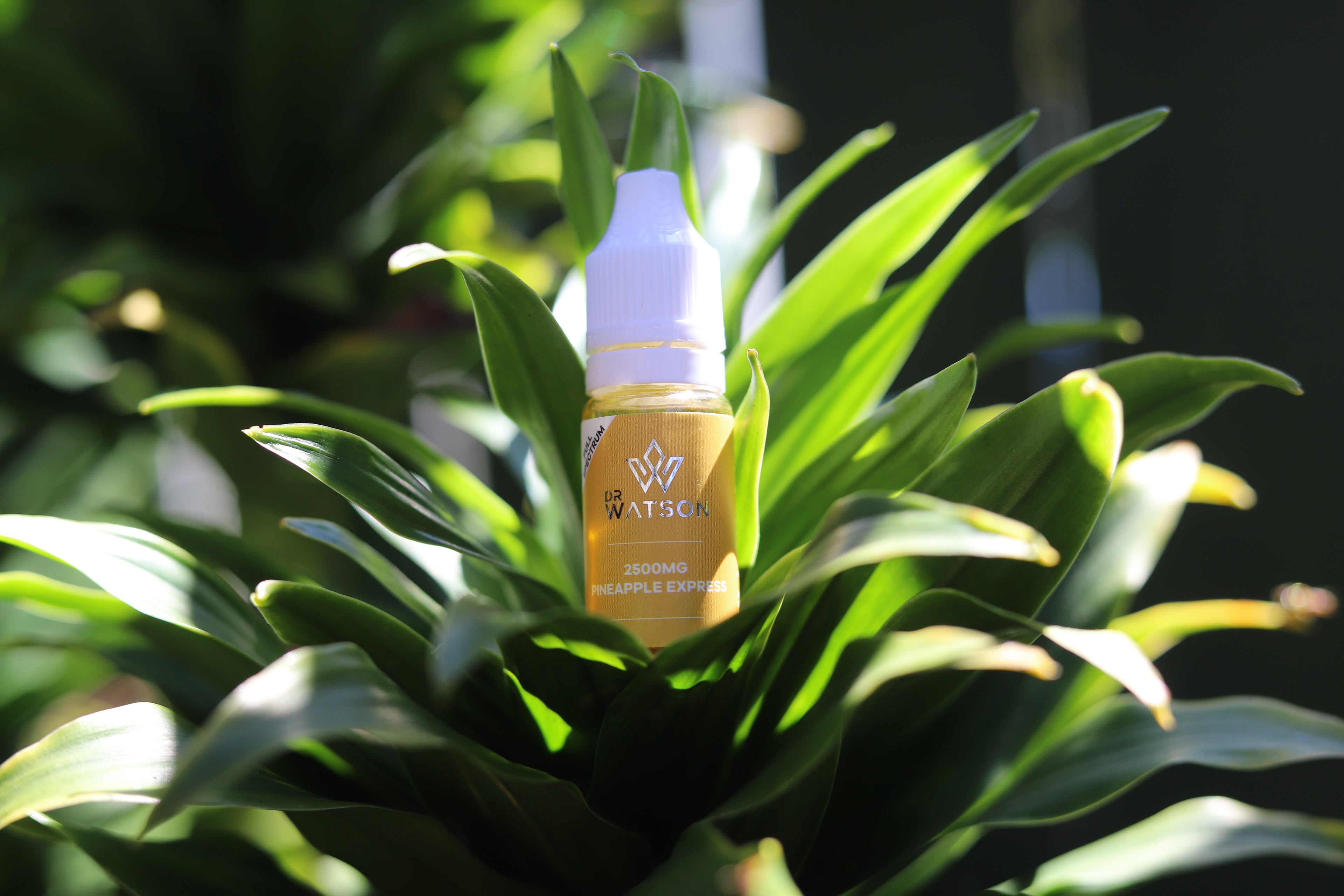 Dr Watson CBD Vape Collection