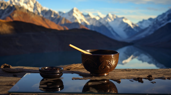 Exploring the Ancient Elixir: The Mystique of Himalayan Shilajit